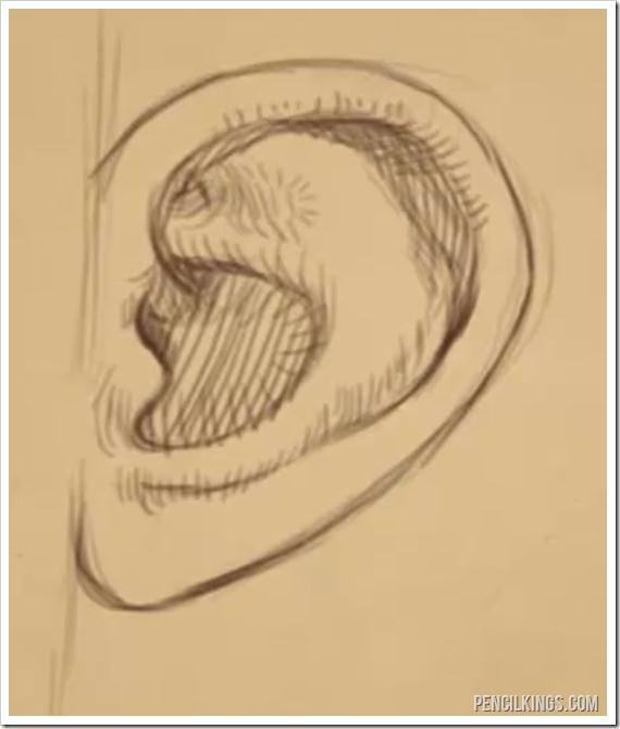 draw a realistic ear finished line drawing