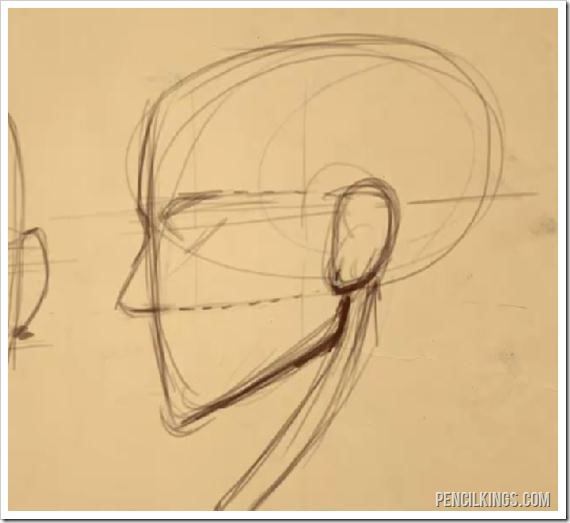 face drawing proportions guidelines