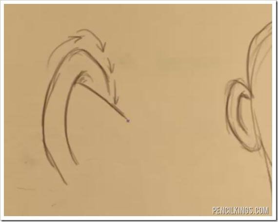 drawing an ear from the back line drawing
