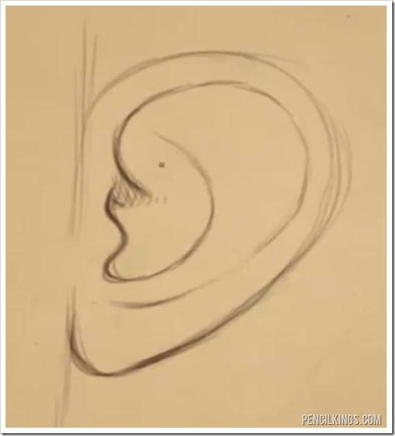drawing ears from the side ear lobe