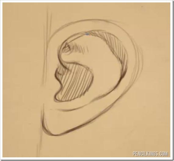 drawing ears side view drawing
