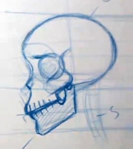 drawing skin on the skull