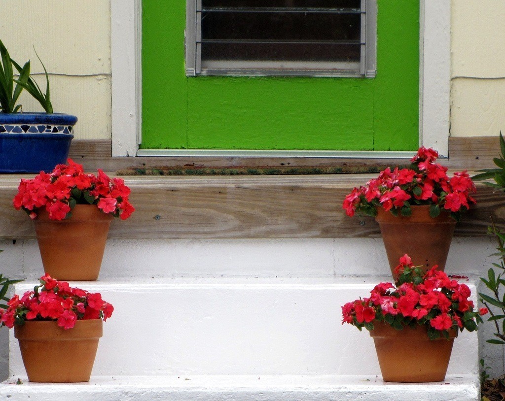symmetry-art-projects-flower-pots-by-door