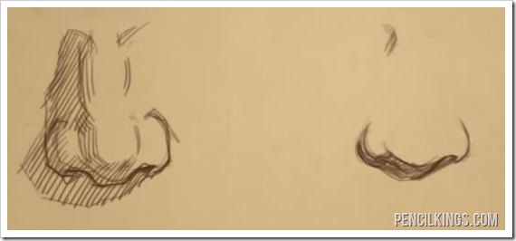 nose drawing tutorial male and female noses comparison