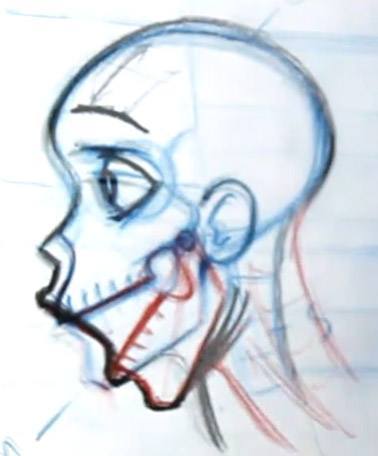 drawing an open jaw