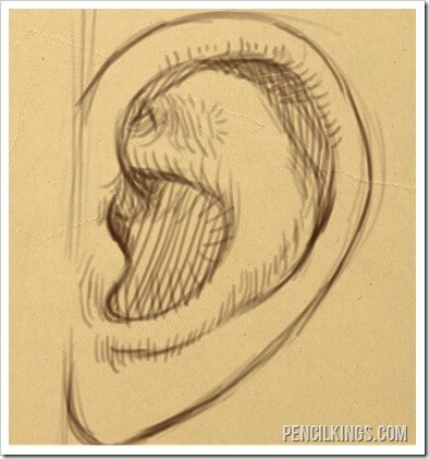 how to draw an ear from the side finished drawing