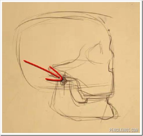 draw an open mouth skull sketch