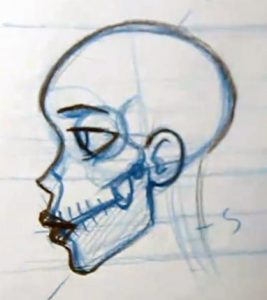learn to draw skin on the skull