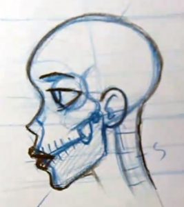 drawing the neck on a skull