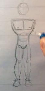 drawing male body finished torso