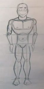 male body proportions detailed torso and legs