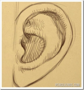 How to Draw Ears