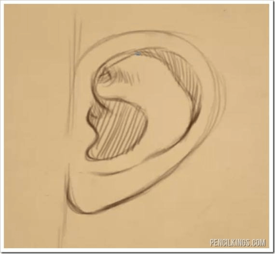 How to Draw Ears 6 how to draw ears 04