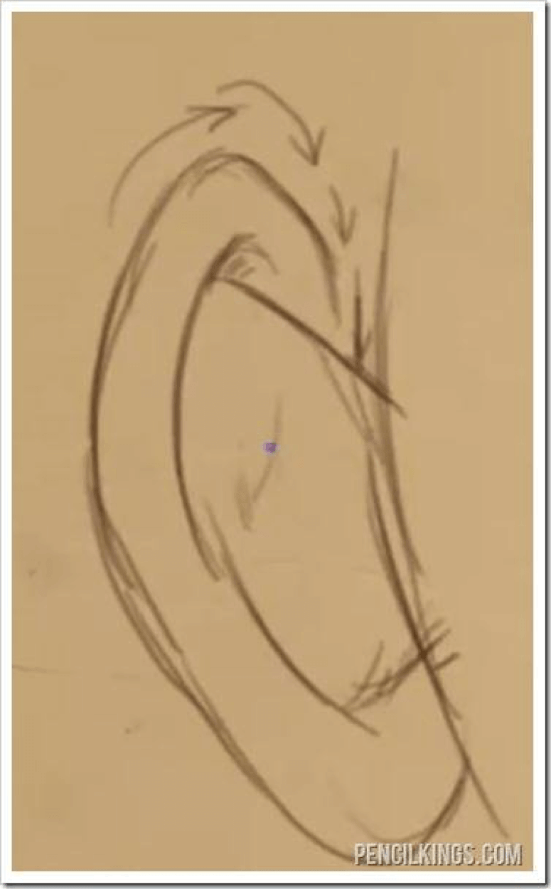 How to Draw Ears 13 how to draw ears 11