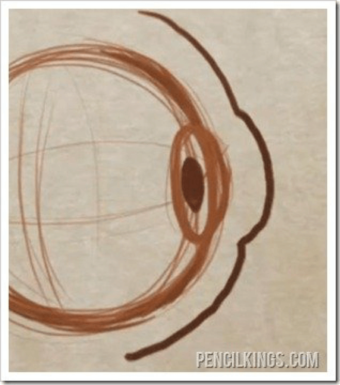 How to Draw the Eyeball 6 how to draw eyeballs 04