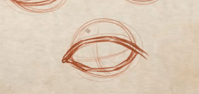 Draw Rope Eye Lids How To Draw The Eyelids, Eyelashes, And Eyebrow