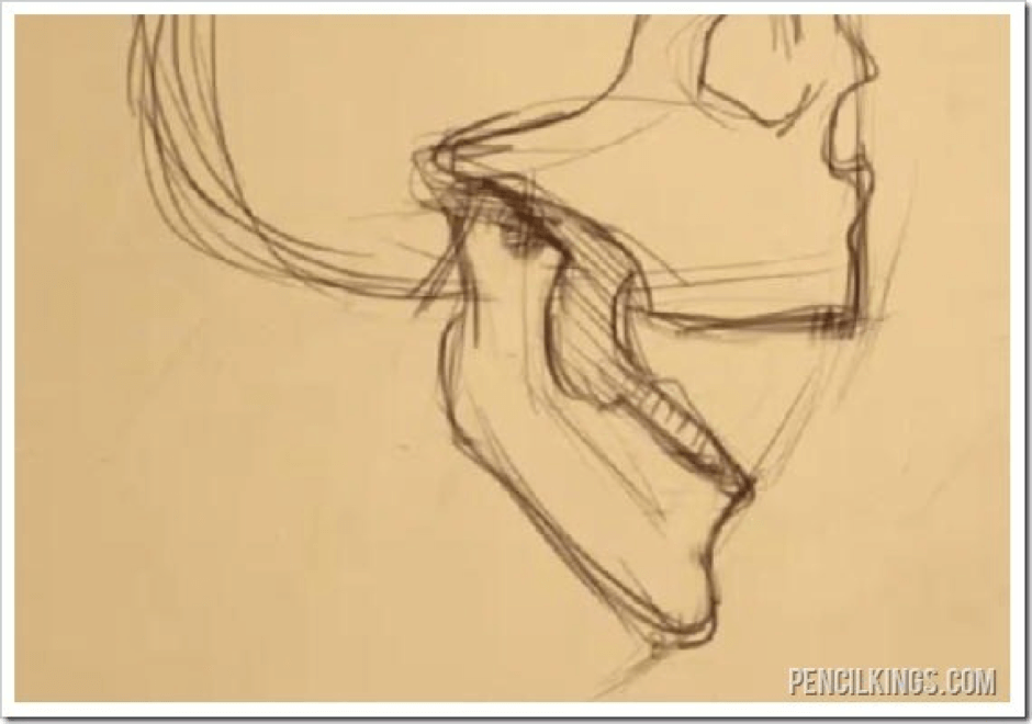 How to Draw the Jaw 6 jaw 4